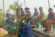 Petani Panen Bawang Untung Puluhan Juta