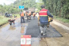 Percepat Pelayanan Perbaikan dan Pemeliharaan, Buka Layanan Aduan Jalan Rusak via WhatsApp