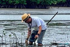 Dari Mi Mangrove hingga Peluang Carbon Trade, Potensi Ekonomi Hijau di Tangerang Utara