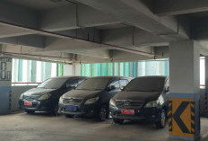 Pengamat Ekonomi Sebut Skema Sewa Mobil Dinas Tangsel Efektif Wujudkan APBD Sehat