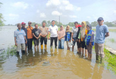Nekat Terjang Banjir, Warga Ditemukan Meninggal