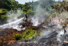 Kecamatan Tigaraksa Terbanyak, Kab. Tangerang Diterjang 20 Kebakaran dalam Sehari