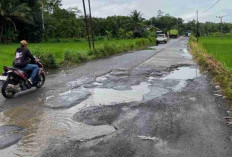 Rp10,6 Miliar untuk Perbaiki Jalan Aweh-Leuwidamar