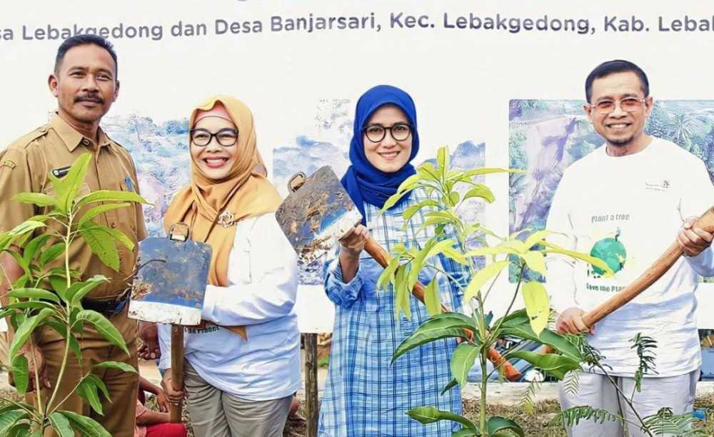 5.500 Bibit Tanaman Ditanam di Lahan Kritis di Lebak