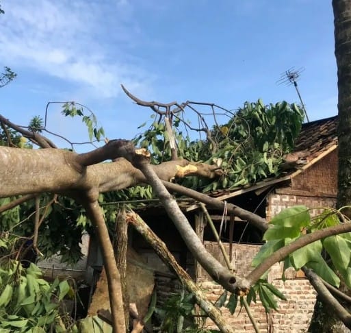 93 Rumah Rusak Digulung Puting Beliung