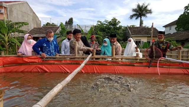 Muhammadiyah Dorong Budidaya Lele Disaat Pandemi