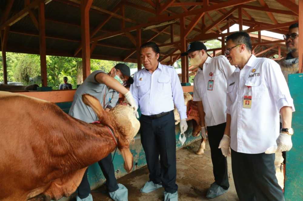 Pj Gubernur Al Muktabar Kendalikan Penyebaran PMK di Banten