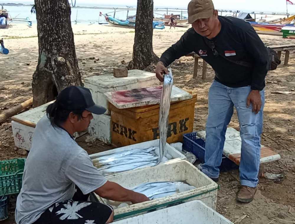 Nelayan Lebak Panen Ikan Layur