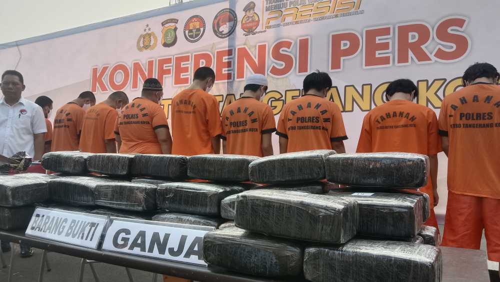 Tangerang Belum Bebas Narkoba, Puluhan Kilogram Ganja Diamankan