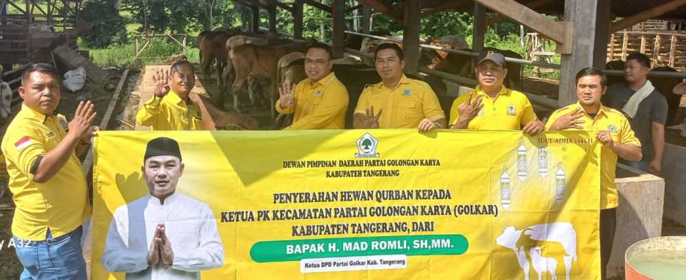 Golkar Kabupaten Tangerang Bagikan Sapi dan Kambing