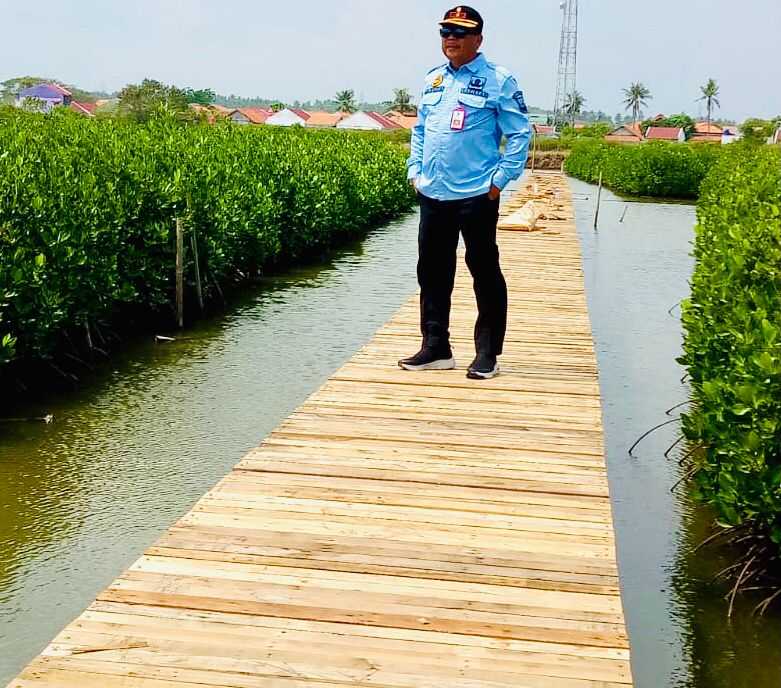 Kadis Perikanan No Comment Soal Tarif Kawasan mangrove Milik Perhutan