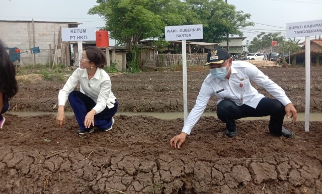 Harga Kebutuhan Pangan Terus Naik, PTHKTI Ajak Perempuan Peduli