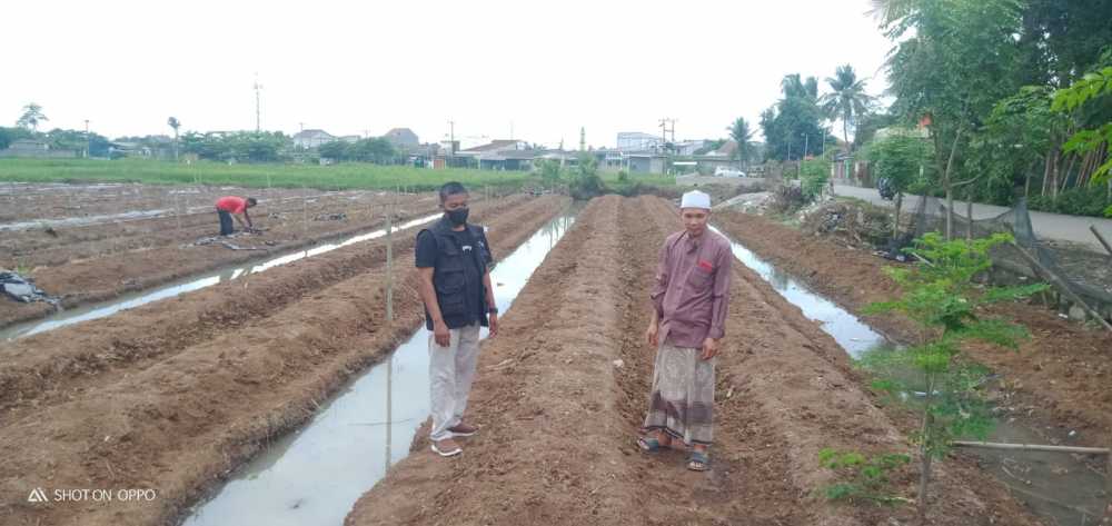 Petani Septim Bikin Demplot Kedelai