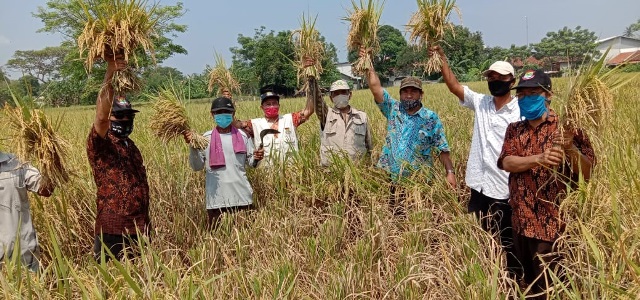 Hindari Penyalahgunaan Pupuk Bersubsidi, Kartu Tani Minimalisir ‘Kebocoran’