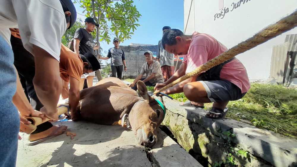 PJPT Salurkan Daging Kurban ke Masyarakat