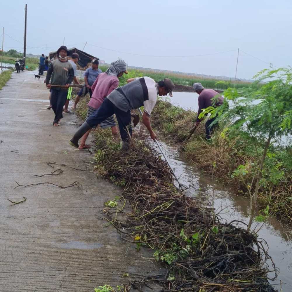 Cegah Banjir, Warga Desa Muara Rapikan Saluran