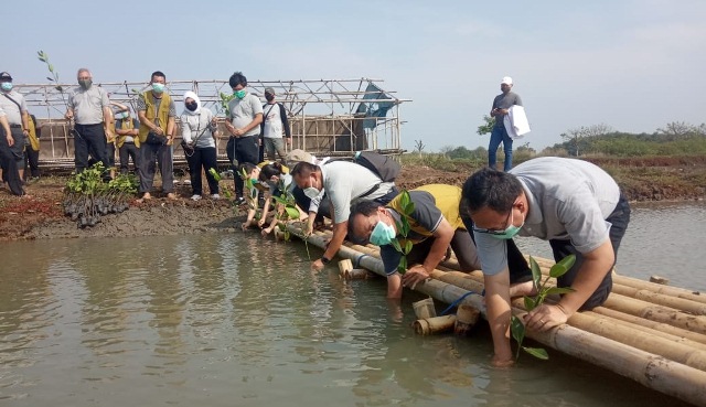 PT YKK AP Indonesia Tanam Mangrove Langka di Pantai  Patramanggala