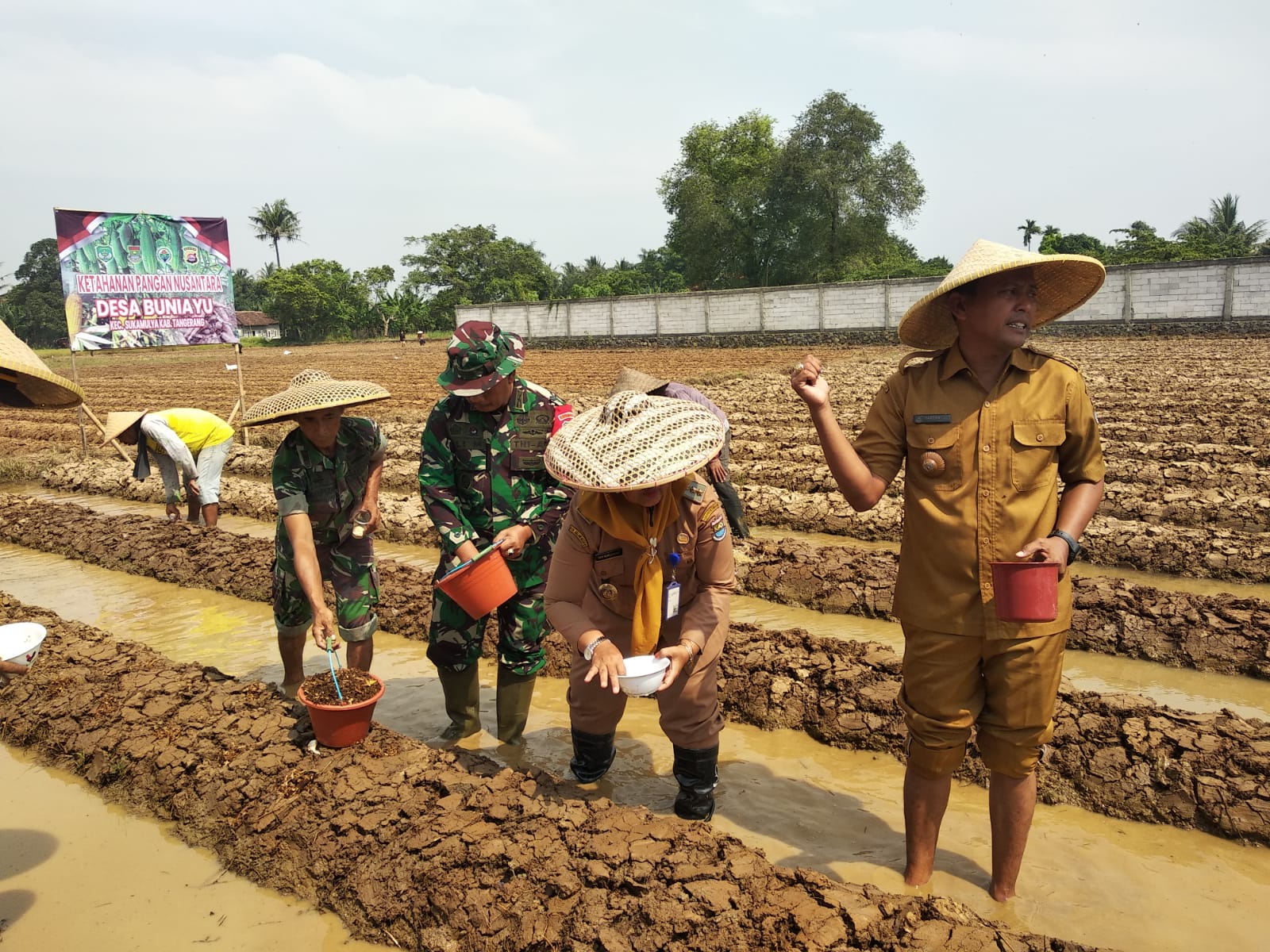 Tanam Timun Dukung Ketahanan Pangan