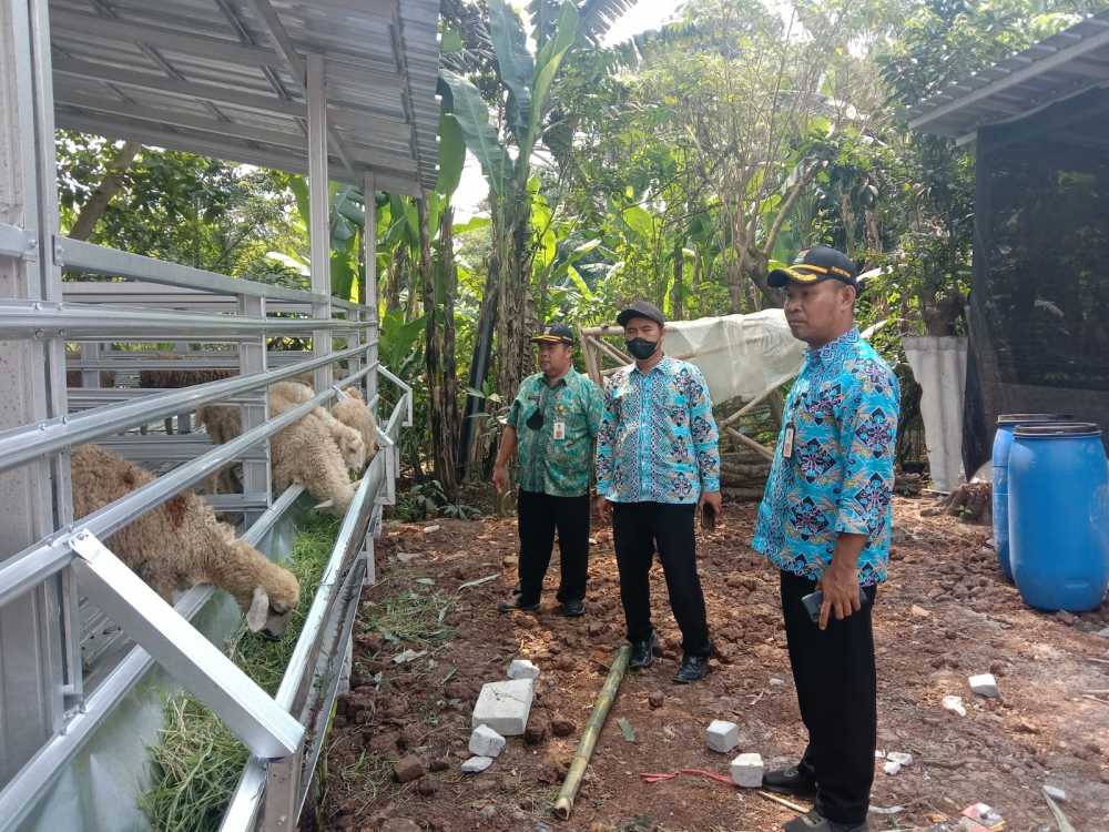 Pemerintah Desa Kasih Usaha Ternak Kambing ke Warga