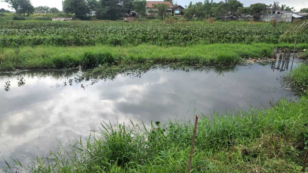 Rajeg Manfaatkan Waduk jadi Kolam Ikan