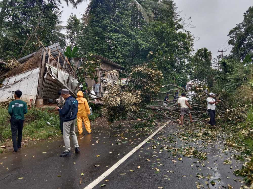 Hujan Lebat Disertai Angin Kencang, Kandang Ayam Tertimpa Pohon