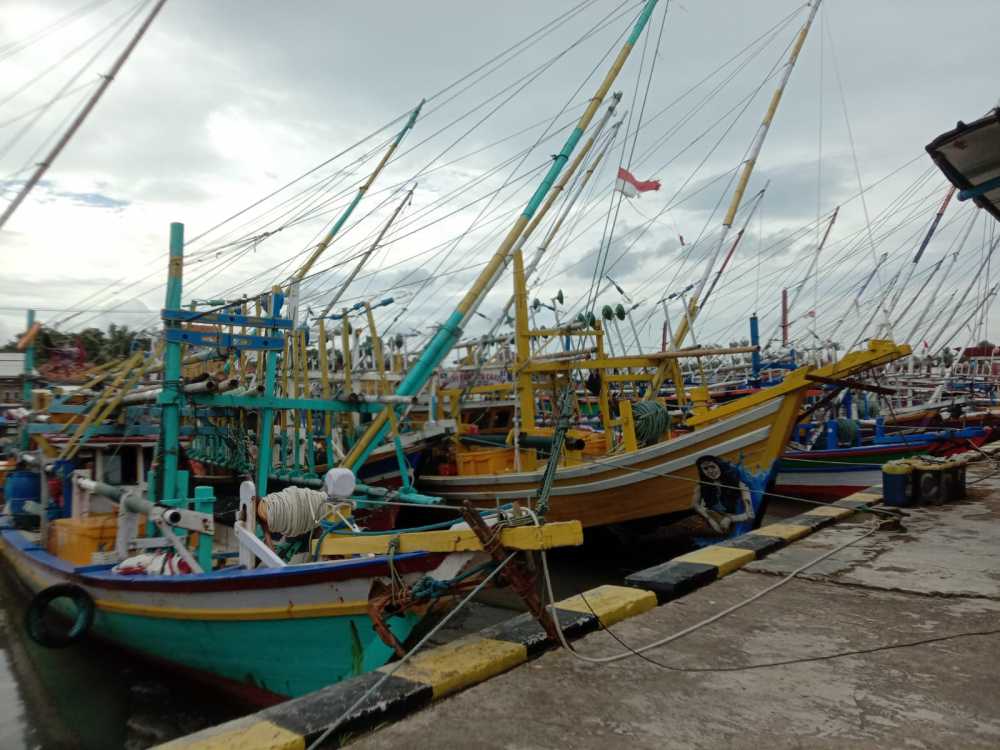 Harga Ikan di Pasar Induk Rau Melambung, Mau Tahu Kenapa