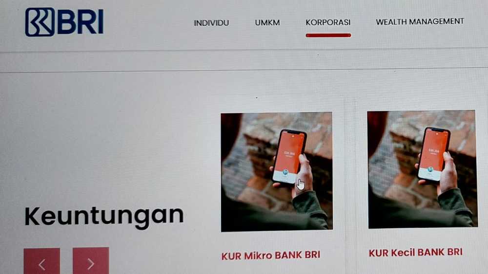 Peluang Usaha Untuk Bisa Mendapatkan KUR Bank BRI