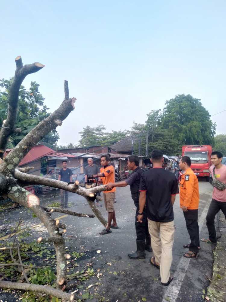 Pohon Tumbang Pemilik Warung Durian Meninggal Dunia