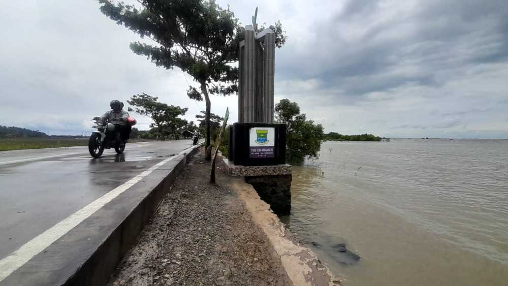 Pohon Mangrove yang ditanam Banyak yang Mati Akibat Ombak,   Abrasi di Marga Mulya Makin Parah