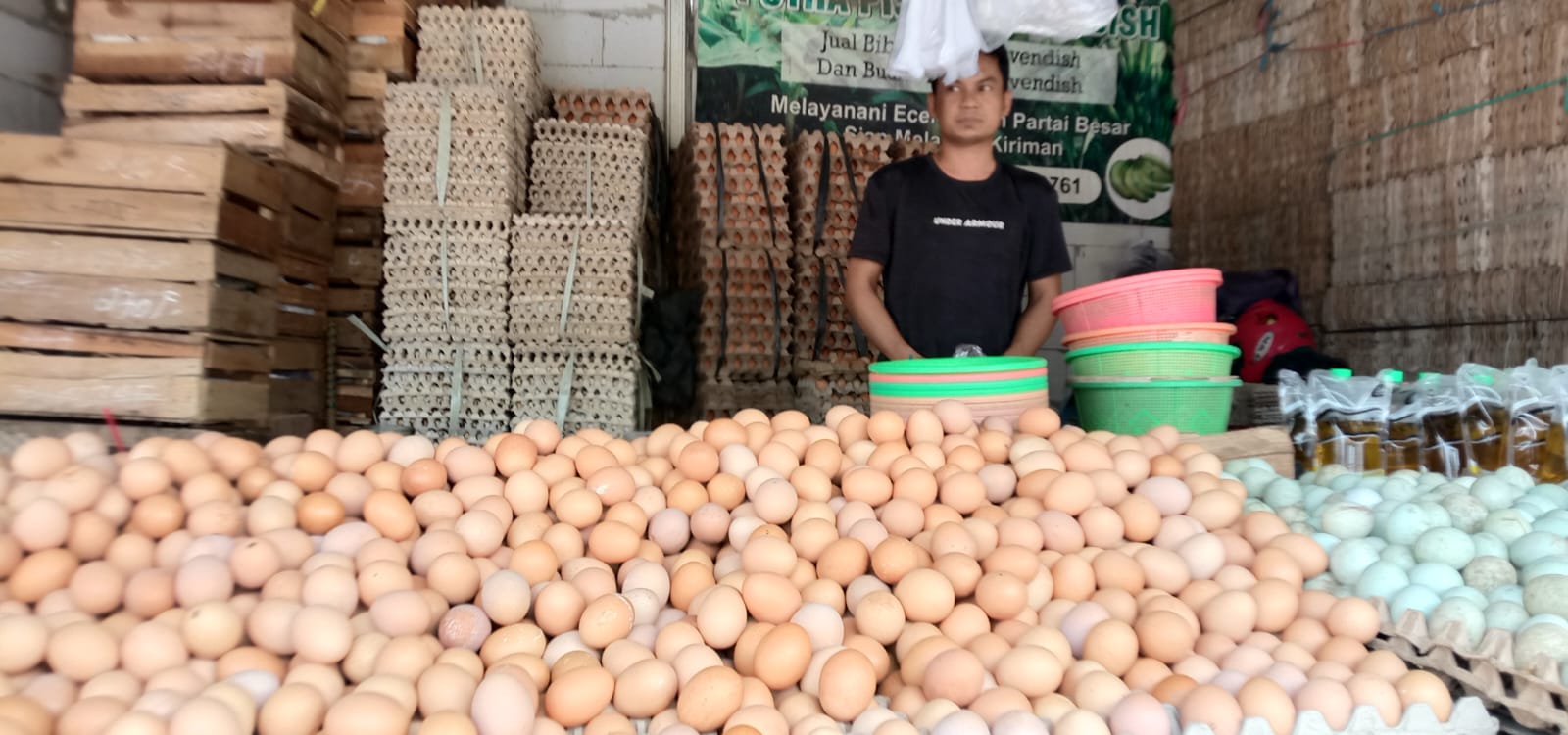 Update Harga Pangan Hari Ini: Harga Telur Rp28 Ribu Perkilogram