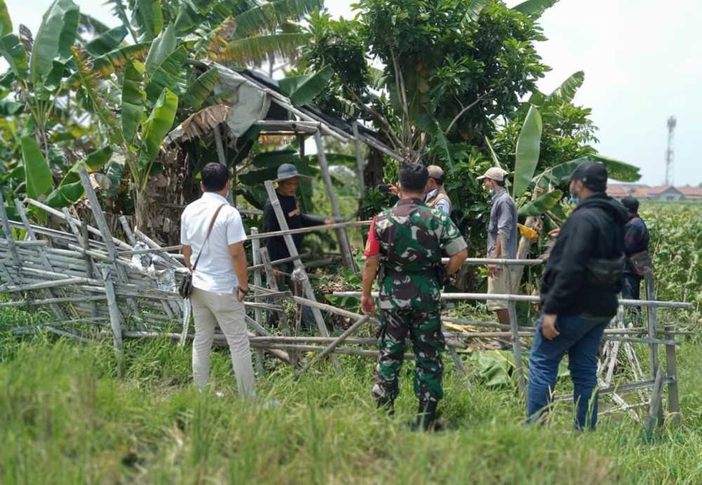 Dikira Mayat, Ternyata Bangkai Kambing