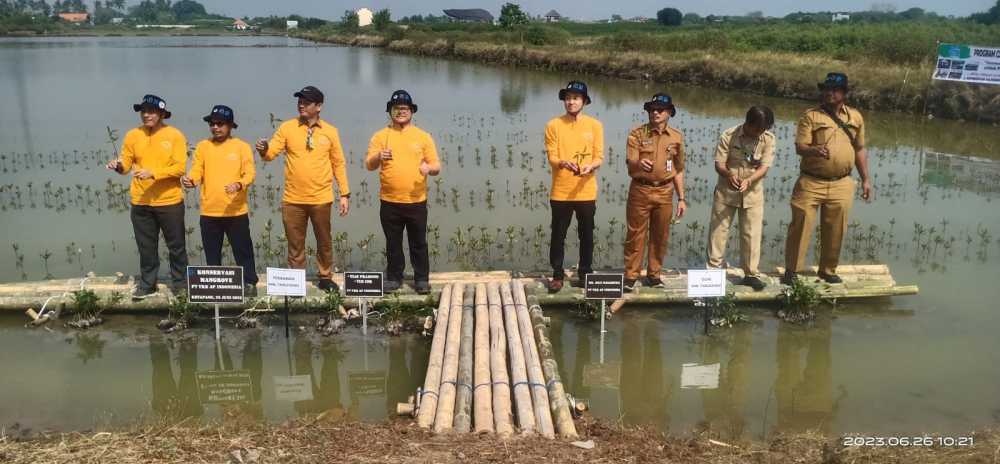 PT YKK AP Indonesia Tanam Mangrove Langka