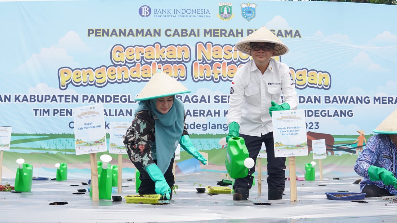 Kendalikan Inflasi, Pandeglang Jadi Sentra Bawang Merah dan Cabai