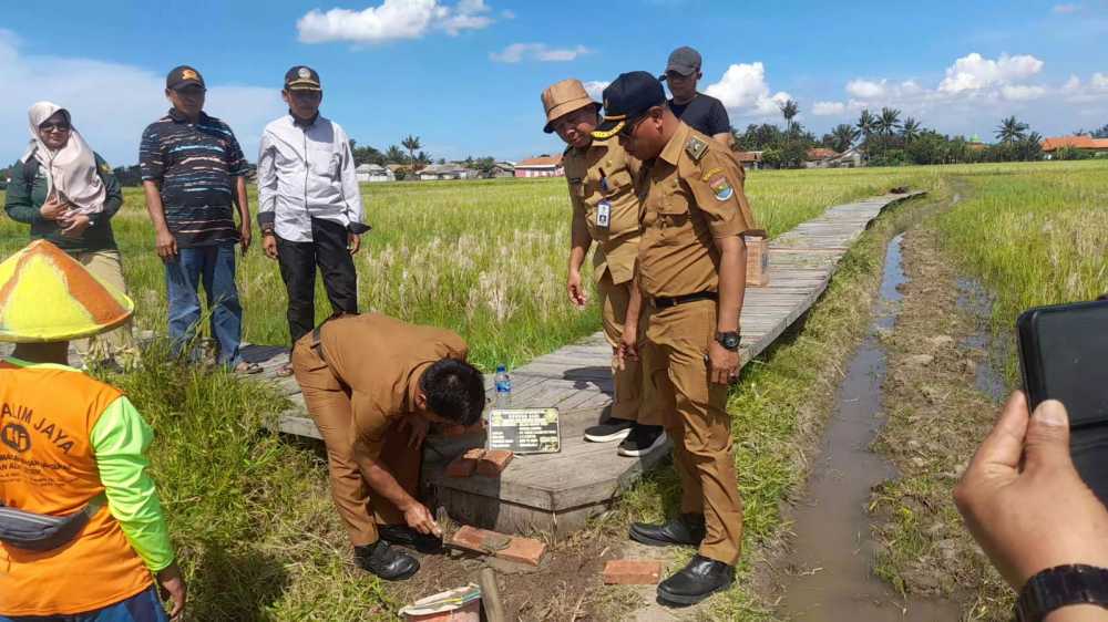 Desa Gunung Sari Punya Obyek Wisata Sawah